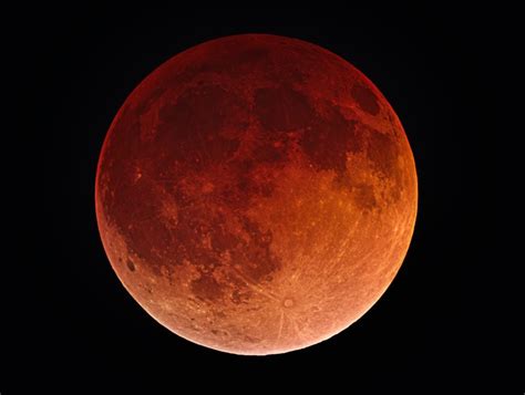 The Curse of the Blood Moon and the Mysterious Deaths in its Wake